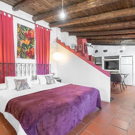 El Cau Apartment *